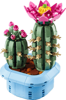 Botanicals #11509 Flowering Cactus