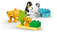 LEGO® DUPLO® #10442 Wild Animal Families: Penguins & Lions
